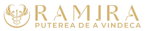 Logo Expert Medical Ramira